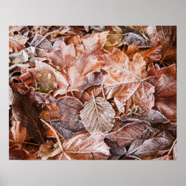 Herfst esdoornbladeren poster papier (mat)