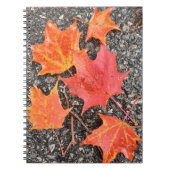 Herfst esdoornbladeren spiraal notebook notitieboek (Voorkant)
