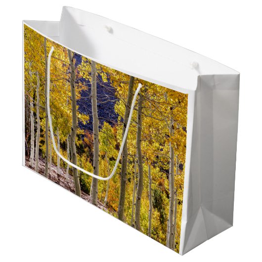 Herfst Esdoornbomen, grote cadeautas (Voorkant Gekanteld)