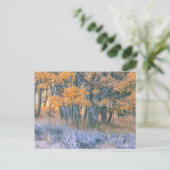 Herfst Esdoornbos Briefkaart (Staand voorkant)
