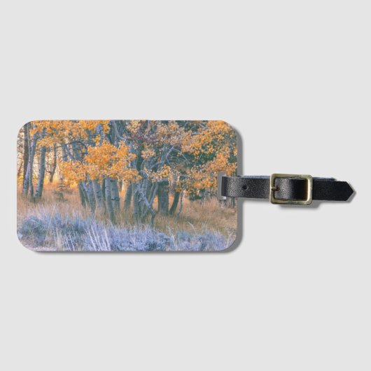 Herfst Esdoornbos Landschap Bagagelabel (Voorkant (horizontaal))