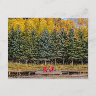 Herfst Esdoorns Briefkaart