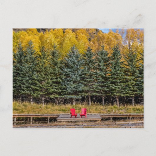 Herfst Esdoorns Briefkaart (Voorkant)