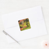 Herfst esdoorns en berkenboom, Wit Vierkante Sticker (Envelop)