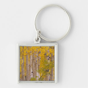 Herfst-espen in Kebler Pass in Colorado. Sleutelhanger