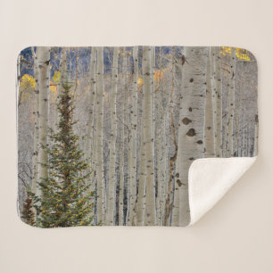 Herfst Espenbossen   Colorado Rocky Mountains Sherpa Deken
