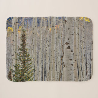 Herfst Espenbossen | Colorado Rocky Mountains Sherpa Deken