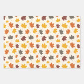 Herfst Falling Leaves Inpakpapier Vel (Voorkant)