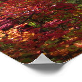 Herfst Fantasy (15) Poster (Hoek)