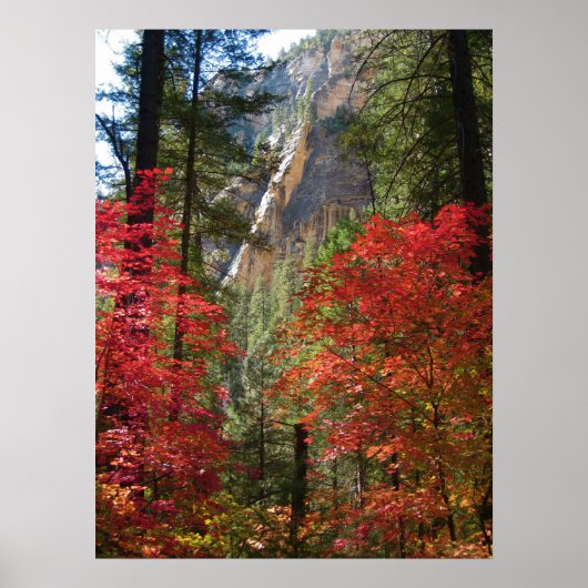 Herfst Fantasy (15) Poster (Voorkant)