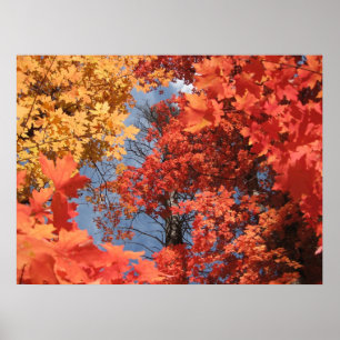 Herfst Fantasy (2) Poster