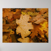 Herfst Fantasy (30) Poster (Voorkant)