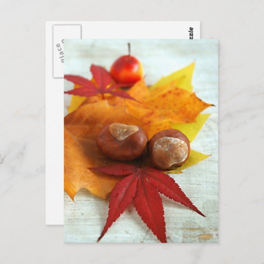 Herfst Feelings Briefkaart (Voorkant / Achterkant)