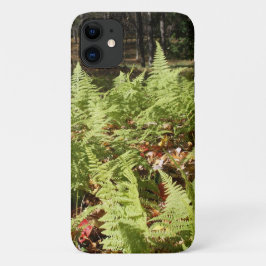 Herfst Ferns iPhone 16 Hoesje