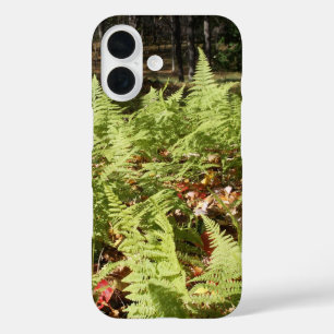 Herfst Ferns iPhone 16 Hoesje