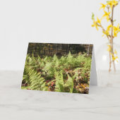 Herfst Ferns Kaart (Gele Bloem)