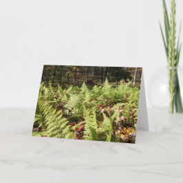Herfst Ferns Kaart