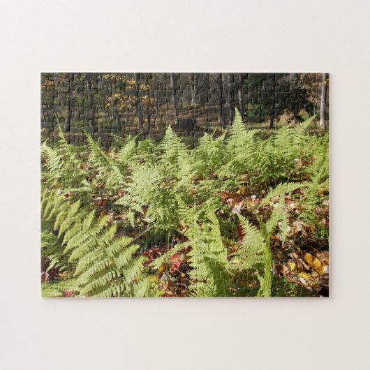 Herfst Ferns Legpuzzel (Horizontaal)