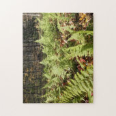 Herfst Ferns Legpuzzel (Verticaal)