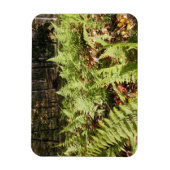 Herfst Ferns Magneet (Verticaal)