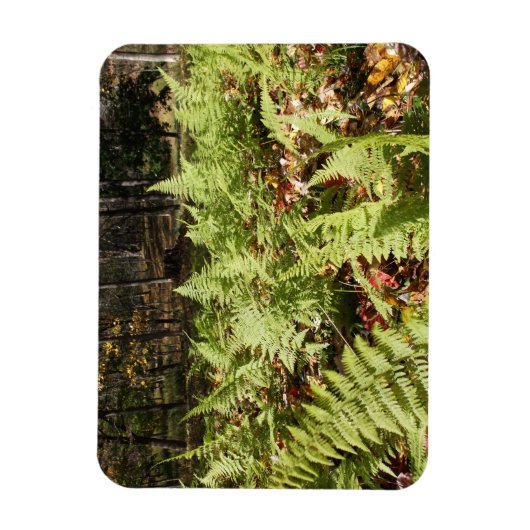 Herfst Ferns Magneet (Verticaal)