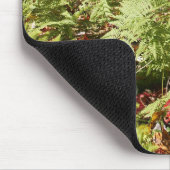 Herfst Ferns Muismat (Hoek)