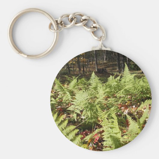 Herfst Ferns Sleutelhanger (Voorkant)