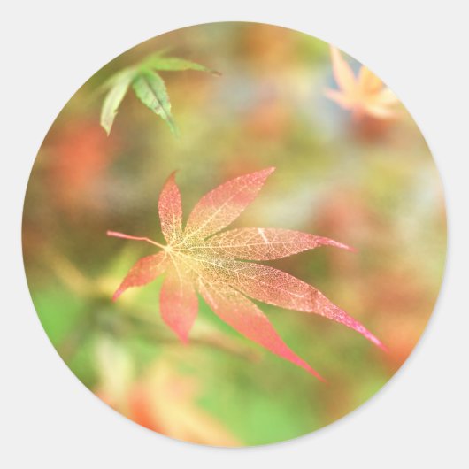 Herfst filigraan Stickers (Voorkant)