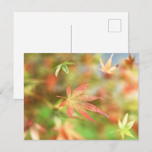 Herfst Filigree Briefkaart (Voorkant / Achterkant)