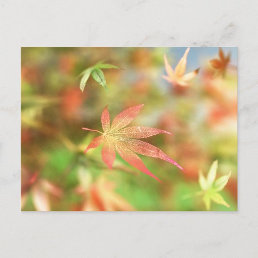 Herfst Filigree Briefkaart (Voorkant)