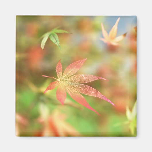 Herfst Filigree Magnet (Voorkant)