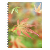 Herfst Filigree Notitieboek (Voorkant)