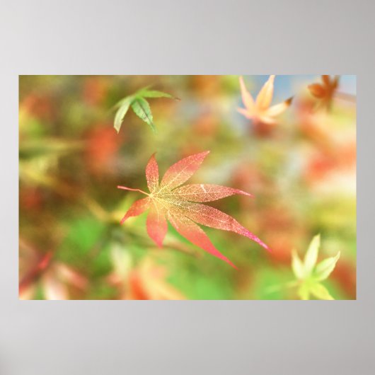 Herfst Filigree Print (Voorkant)