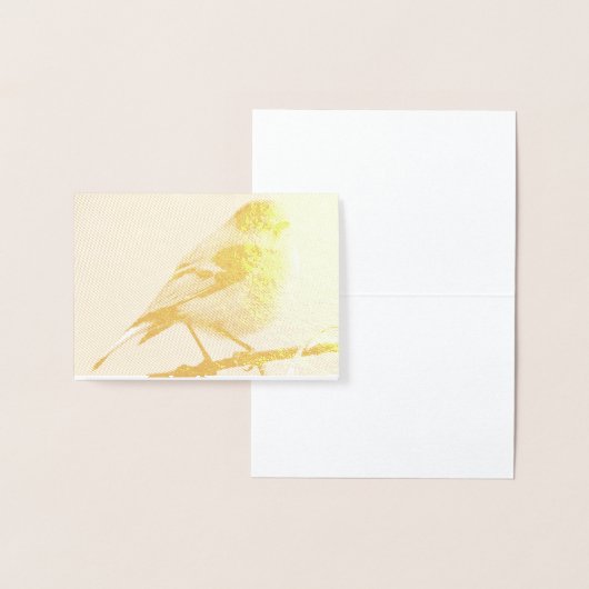 Herfst Finch Blank Folie Note Kaart (Display)