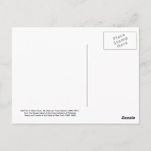 Herfst Fish of Silver Chub Briefkaart (Achterkant)