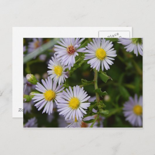 Herfst Flowers Briefkaart (Voorkant / Achterkant)