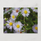 Herfst Flowers Briefkaart (Voorkant)