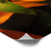 Herfst Flowers Poster (Hoek)