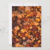 herfst-foliage-111315 HERFST AUTUMN LEVERT KLEUREN (Voorkant)