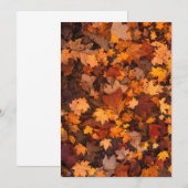 herfst-foliage-111315 HERFST AUTUMN LEVERT KLEUREN (Voorkant / Achterkant)