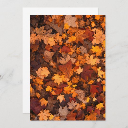 herfst-foliage-111315 HERFST AUTUMN LEVERT KLEUREN (Voorkant / Achterkant)