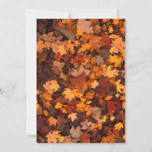 herfst-foliage-111315 HERFST AUTUMN LEVERT KLEUREN