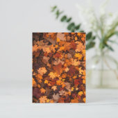 herfst-foliage-111315 HERFST AUTUMN LEVERT KLEUREN Briefkaart (Staand voorkant)