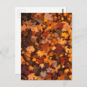 herfst-foliage-111315 HERFST AUTUMN LEVERT KLEUREN Briefkaart (Voorkant / Achterkant)