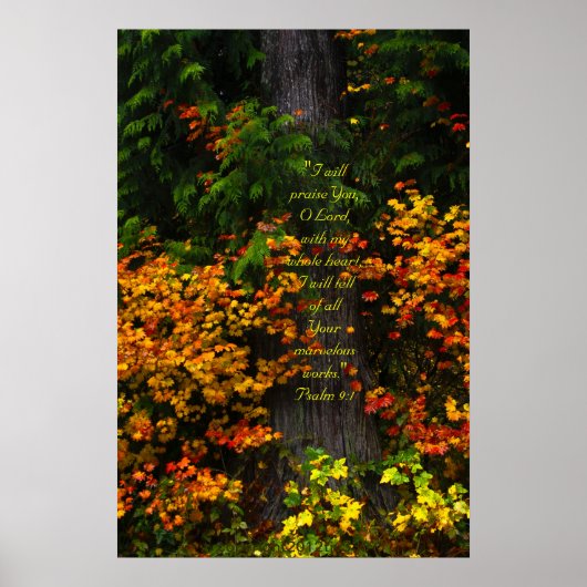 Herfst Foliage 2 Afdrukken met Scriptversie Poster (Voorkant)