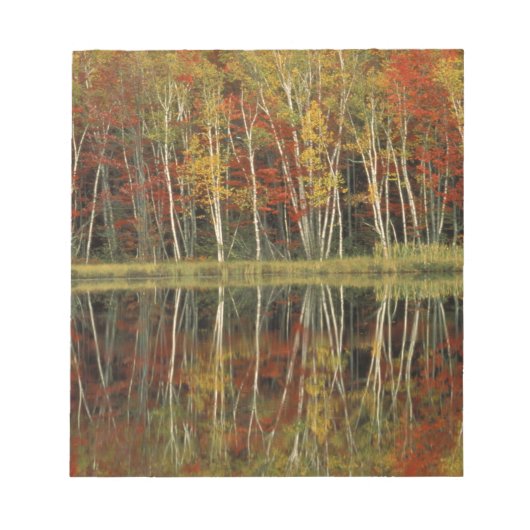 Herfst Foliage and Birch Reflections; Hiawatha Notitieblok (Voorkant)