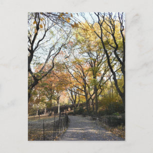 Herfst Foliage Autumn laat Natuur fotografie Briefkaart
