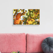 Herfst Foliage Autumn laat Natuur fotografie Canvas Afdruk (Insitu (Woonkamer))