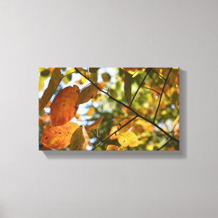 Herfst Foliage Autumn laat Natuur fotografie Canvas Afdruk