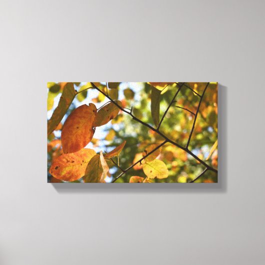 Herfst Foliage Autumn laat Natuur fotografie Canvas Afdruk (Voorkant)